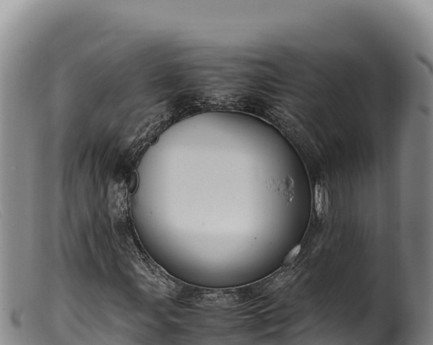 X0000099551107200805231144