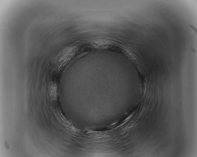 X0000099551108200805231144