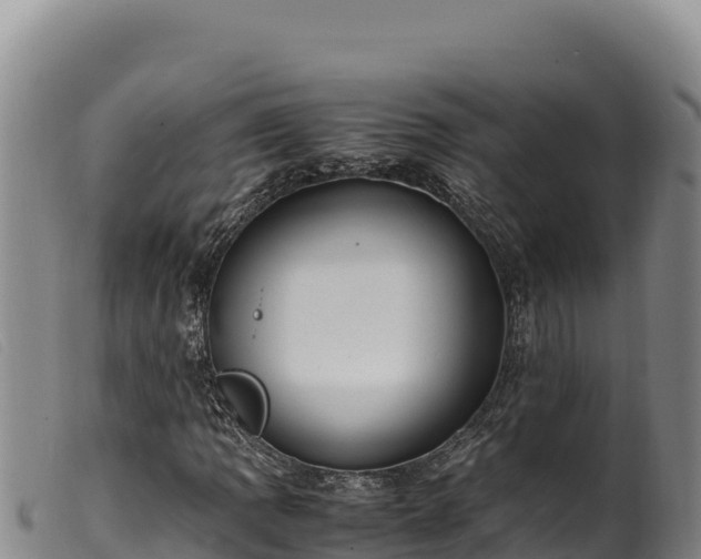 X0000099551109200805231144