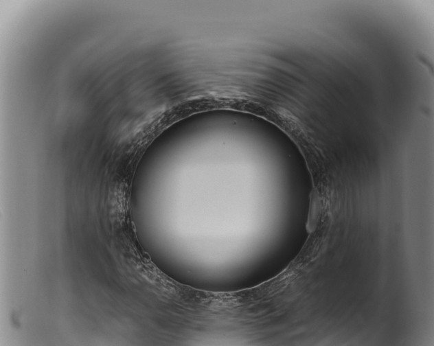 X0000099551110200805231144