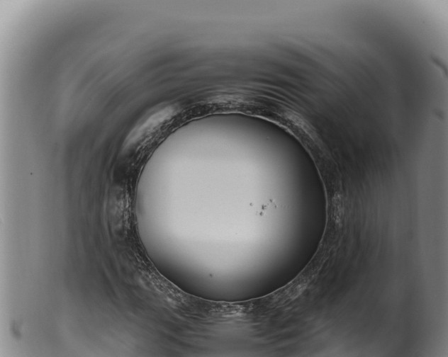 X0000099551111200805231144