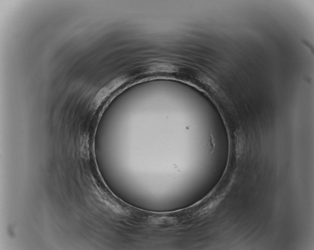 X0000099551113200805231144