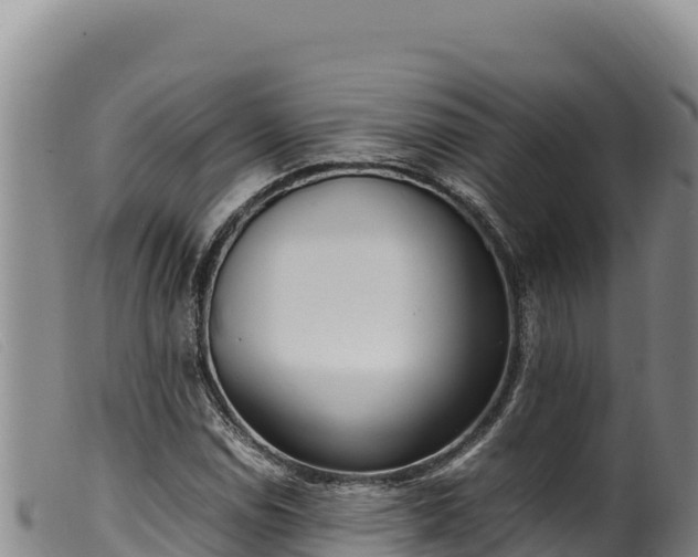 X0000099551114200805231144