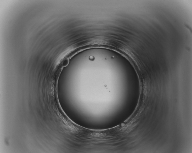 X0000099551115200805231144