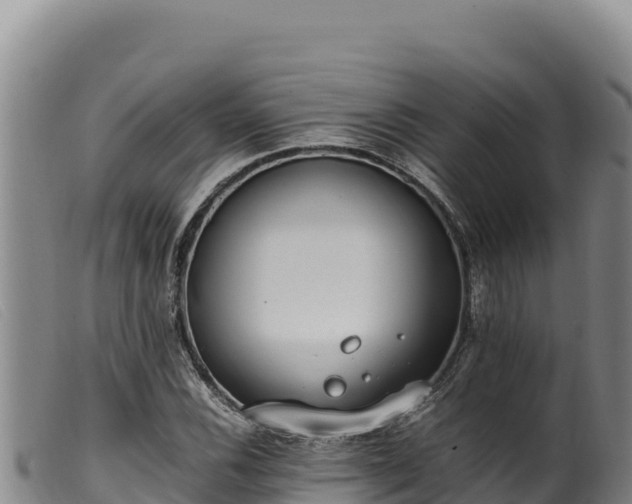 X0000099551116200805231144