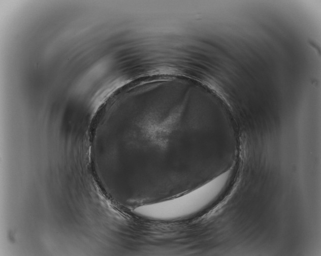 X0000099551117200805231144