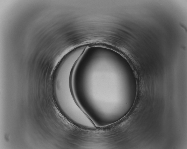 X0000099551118200805231144