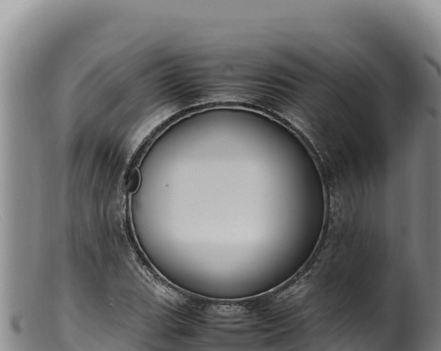 X0000099551119200805231144