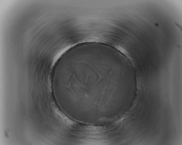 X0000099551120200805231144