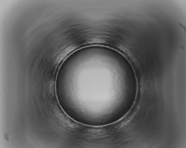 X0000099551121200805231144