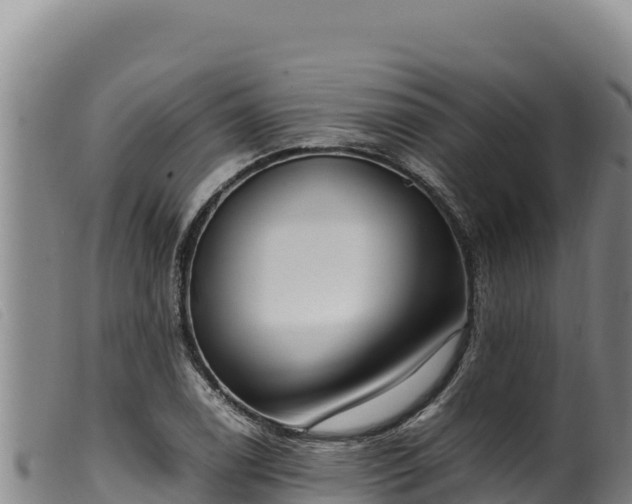 X0000099551122200805231144