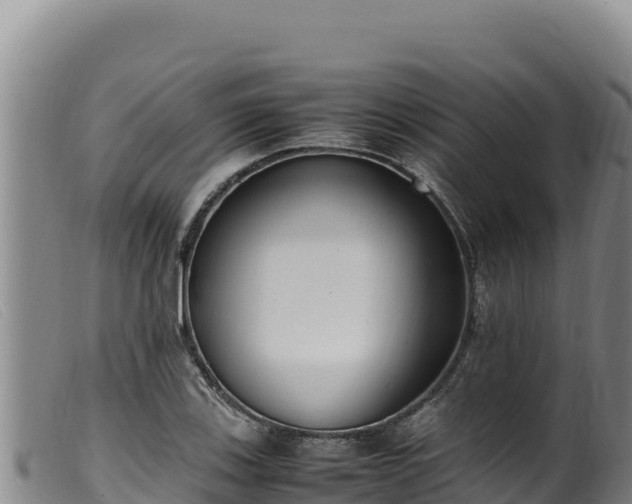 X0000099551123200805231144