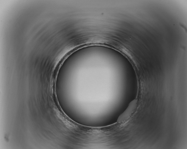 X0000099551124200805231144