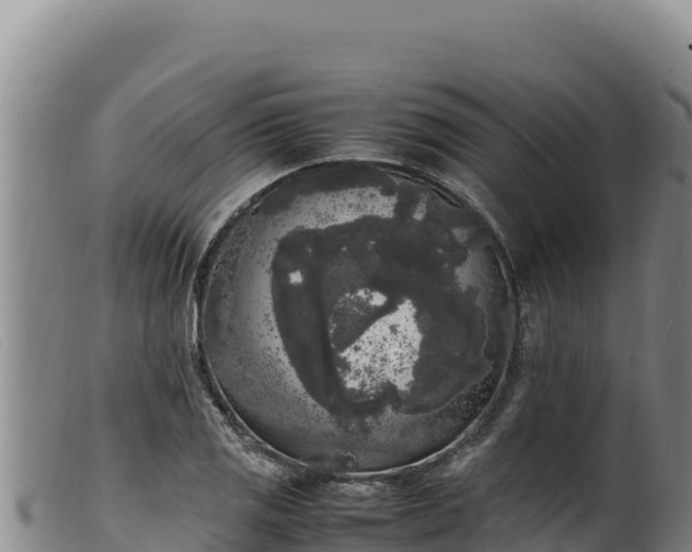 X0000099551125200805231144