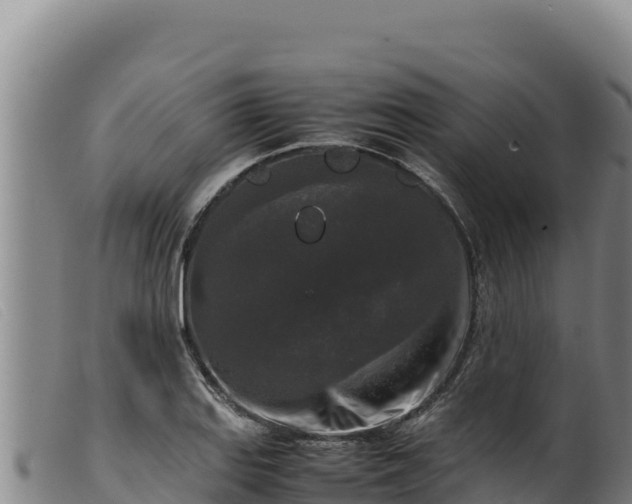 X0000099551127200805231144