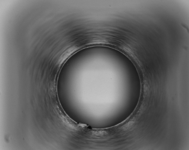 X0000099551129200805231144