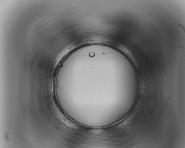 X0000099551130200805231144