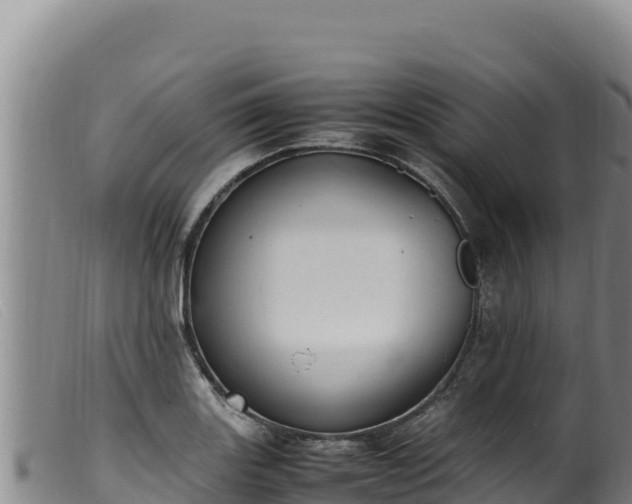 X0000099551131200805231144