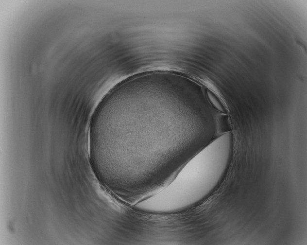 X0000099551132200805231144