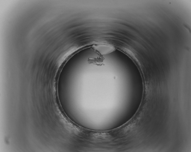 X0000099551133200805231144