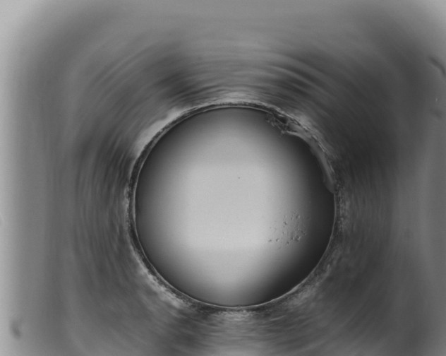 X0000099551134200805231144