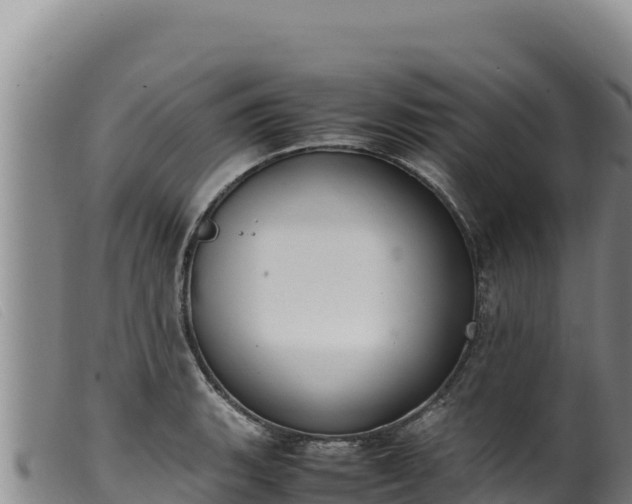 X0000099551135200805231144