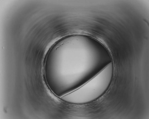 X0000099551136200805231144