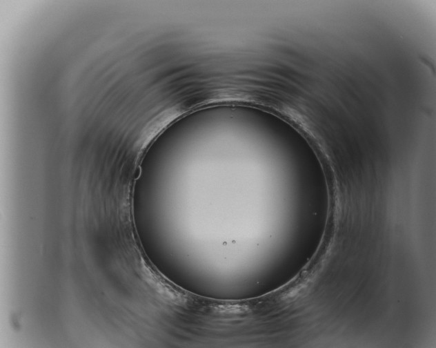 X0000099551137200805231144