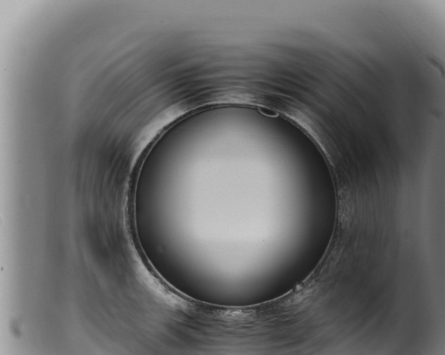 X0000099551139200805231144