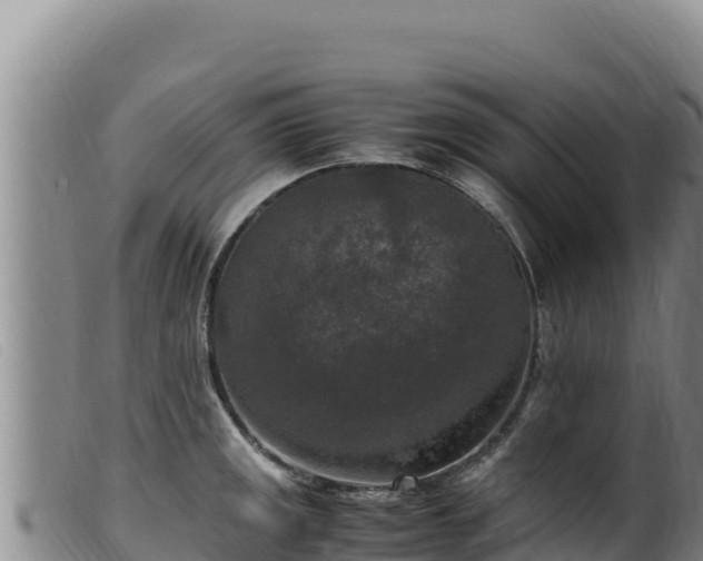 X0000099551141200805231145