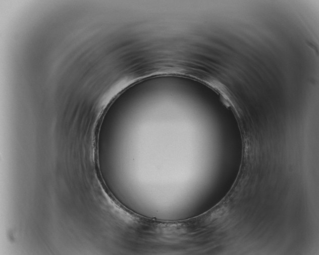 X0000099551143200805231145