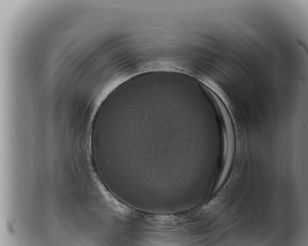 X0000099551144200805231145