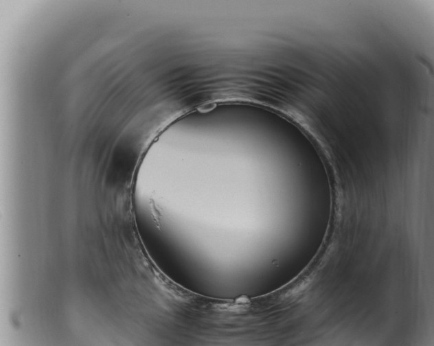 X0000099551145200805231145