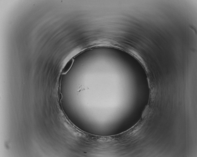 X0000099551146200805231145