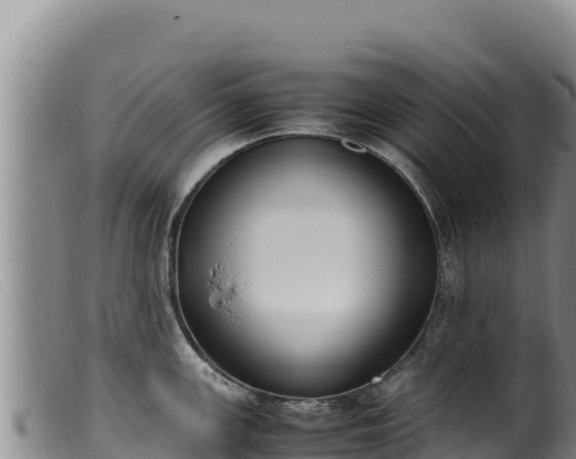 X0000099551147200805231145