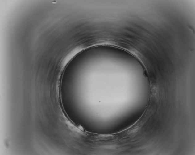 X0000099551151200805231145