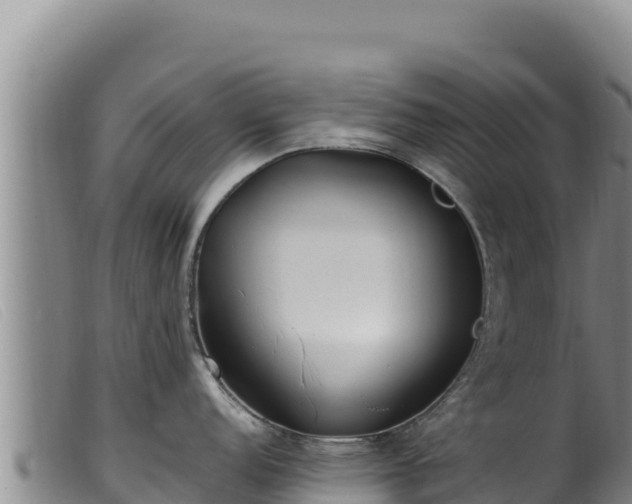 X0000099551152200805231145