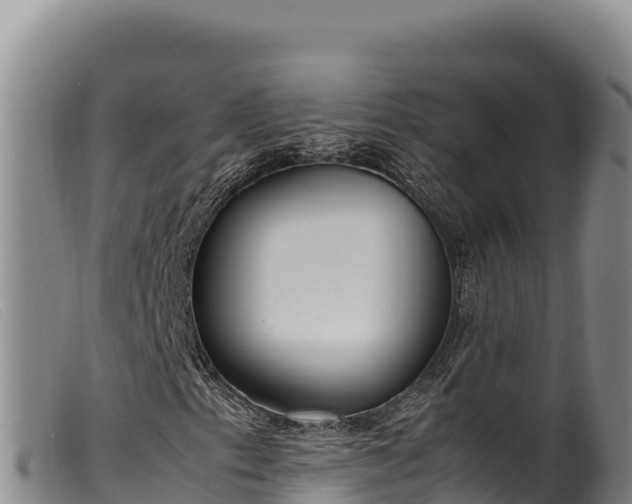 X0000099551153200805231144