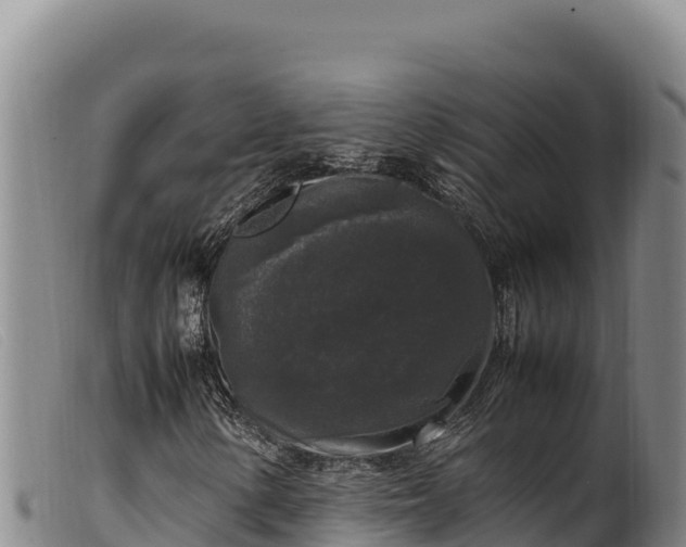 X0000099551154200805231144