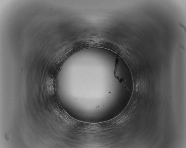 X0000099551156200805231144