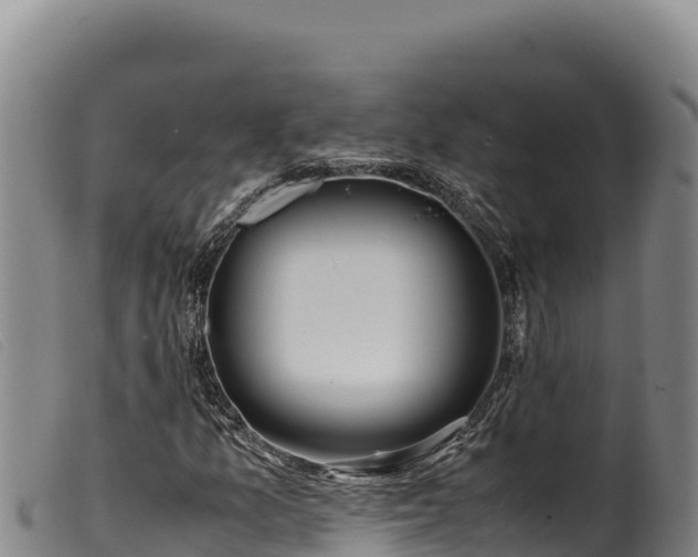 X0000099551157200805231144