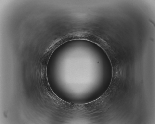 X0000099551158200805231144