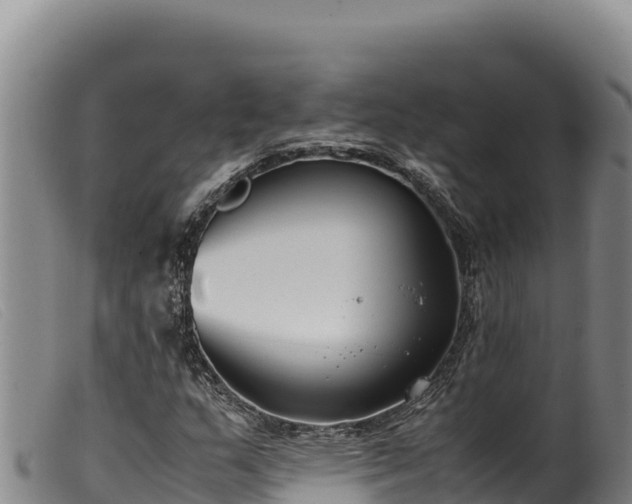 X0000099551159200805231144