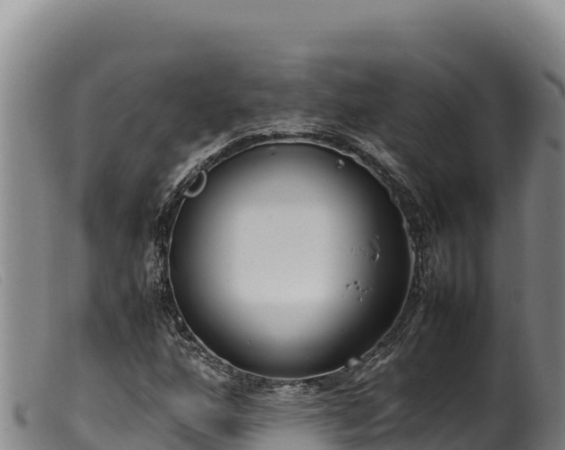 X0000099551160200805231144