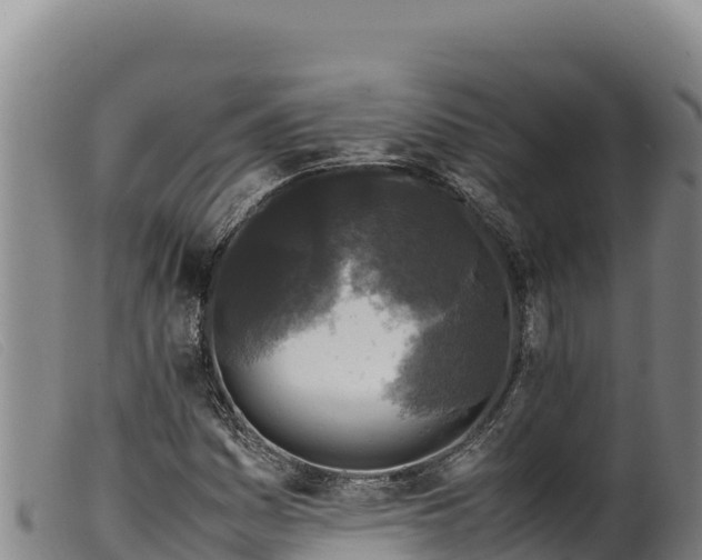 X0000099551161200805231144