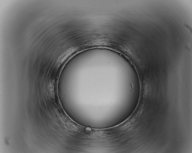 X0000099551162200805231144