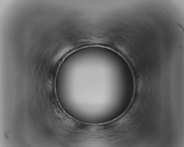 X0000099551163200805231144