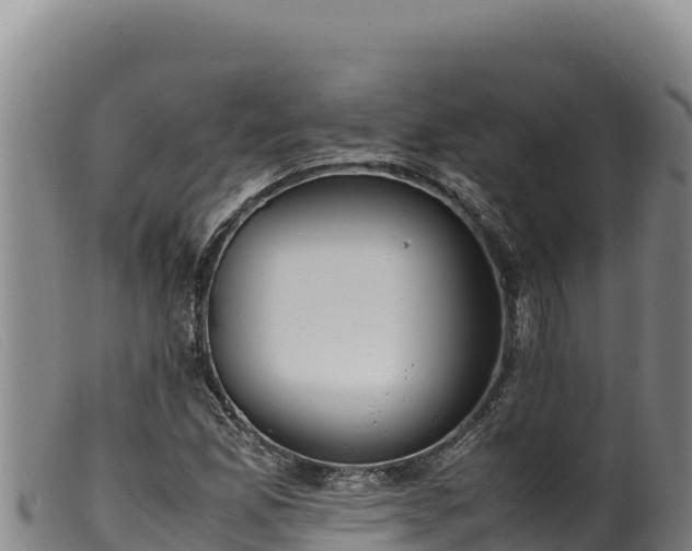 X0000099551165200805231144