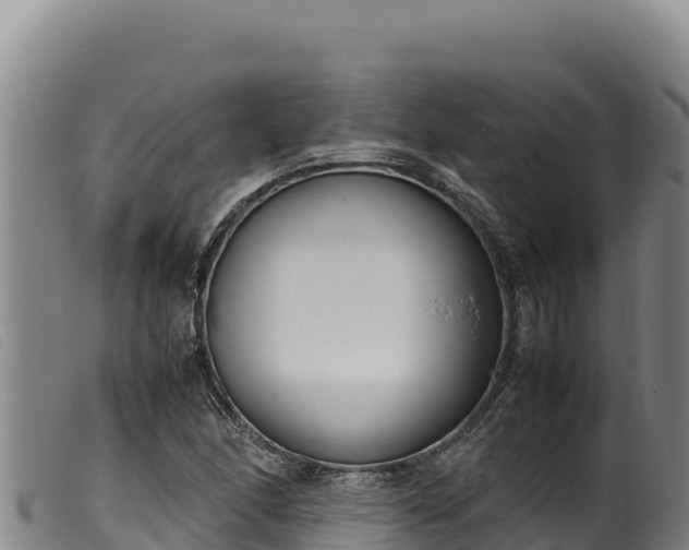 X0000099551166200805231144