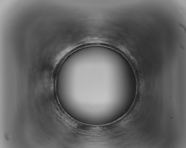 X0000099551167200805231144